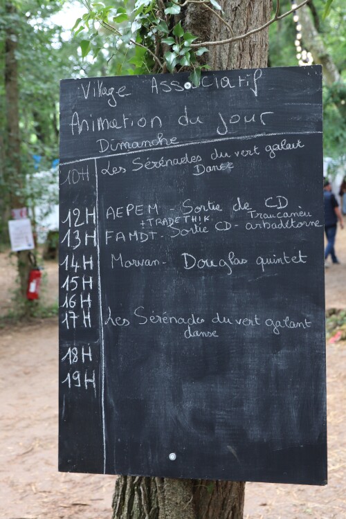 aper96.jpg